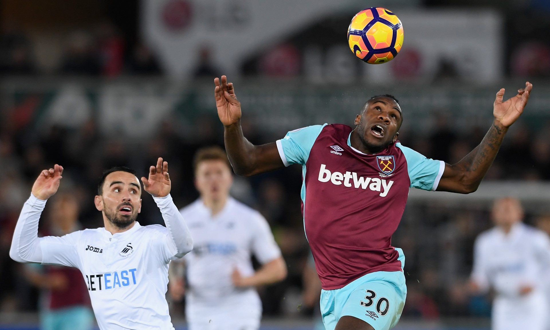 也為主教練 也為主教練